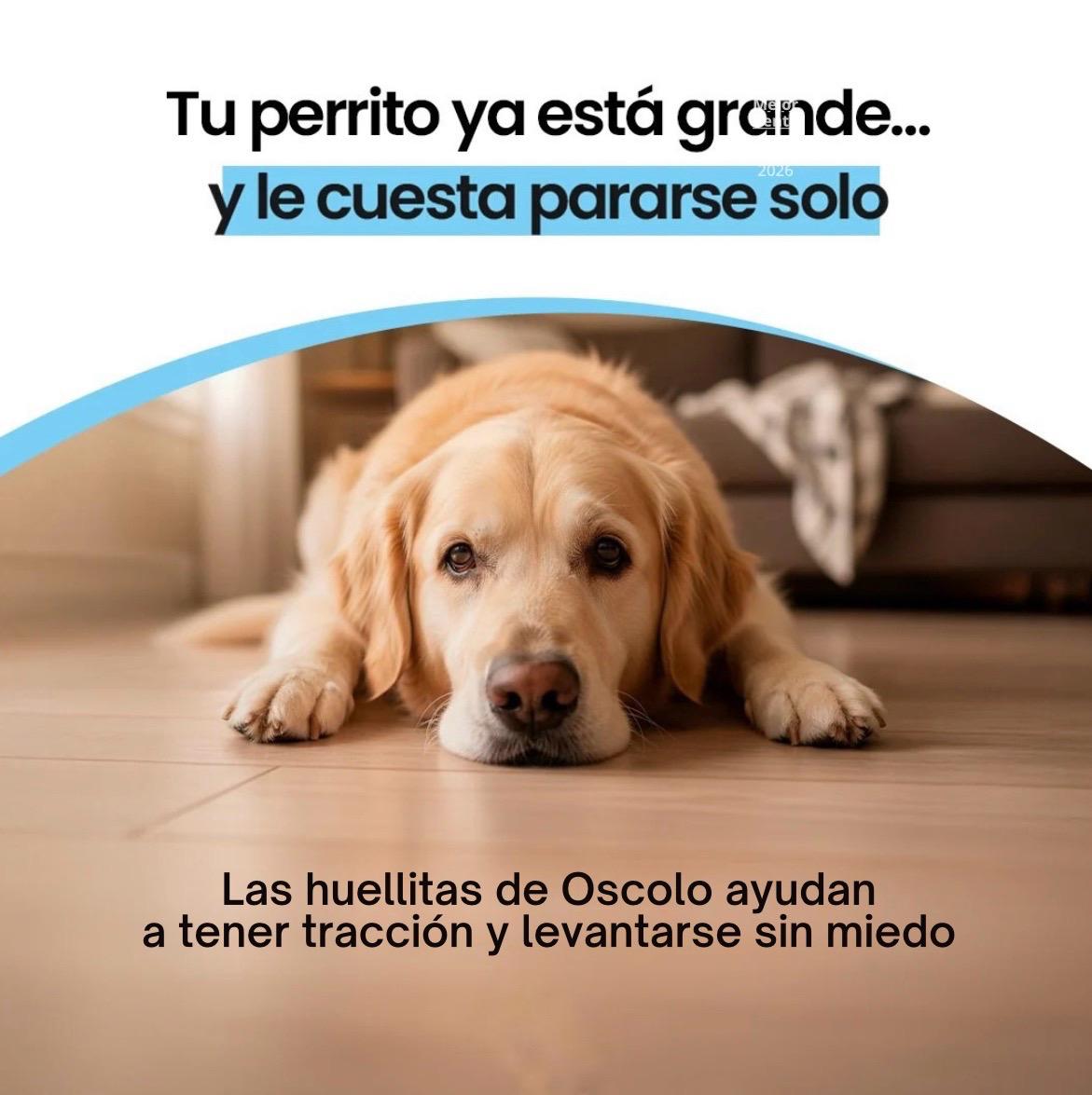 Protectores Para Almohadillas De Perro Hipoalergénicos Antideslizantes - OSCO