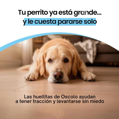 Protectores Para Almohadillas De Perro Hipoalergénicos Antideslizantes - OSCO