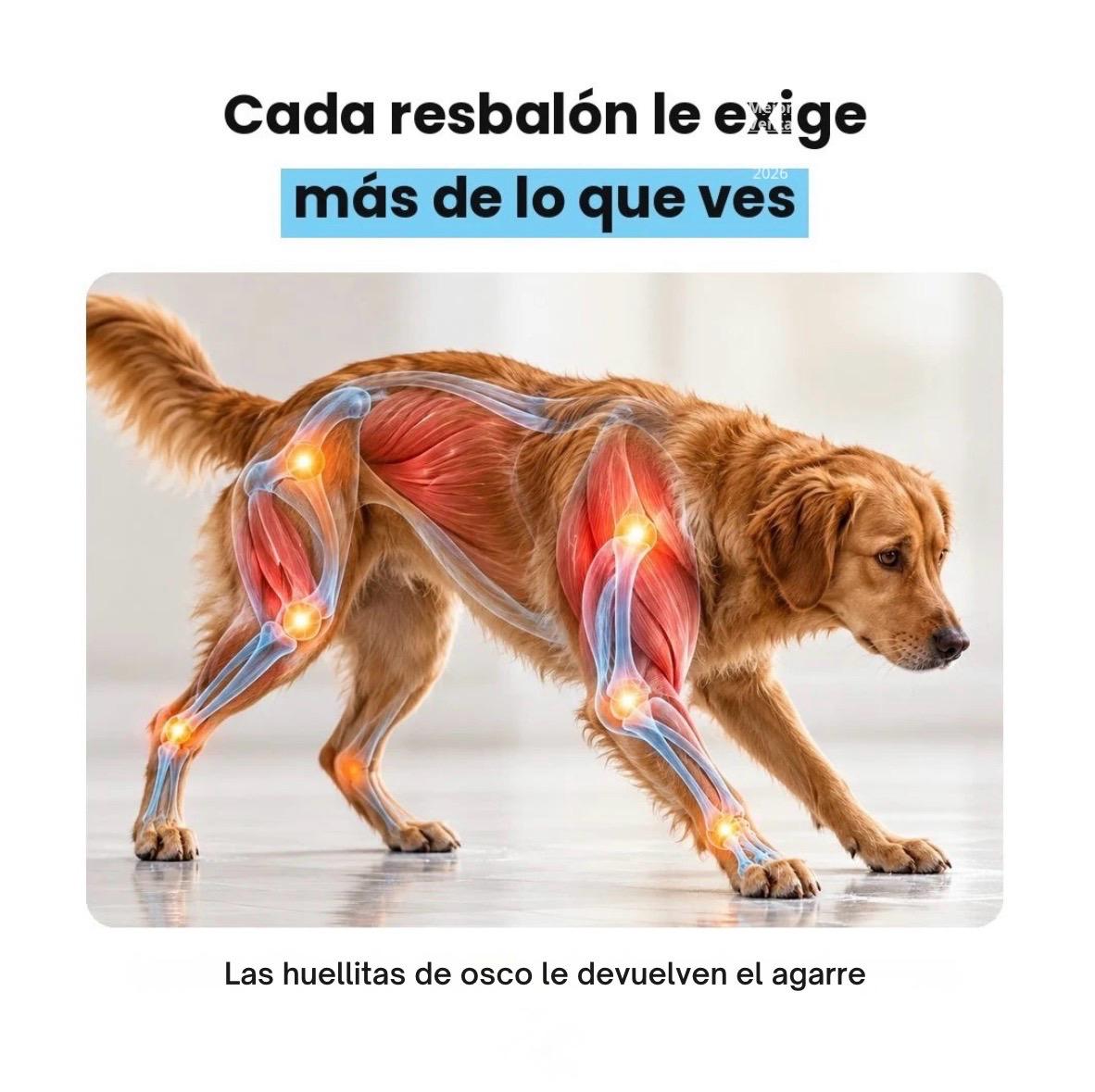 Protectores Para Almohadillas De Perro Hipoalergénicos Antideslizantes - OSCO